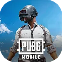 PUBG Mobile пополнение игровой валюты